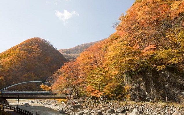 リブマックスリゾート川治のロケーション